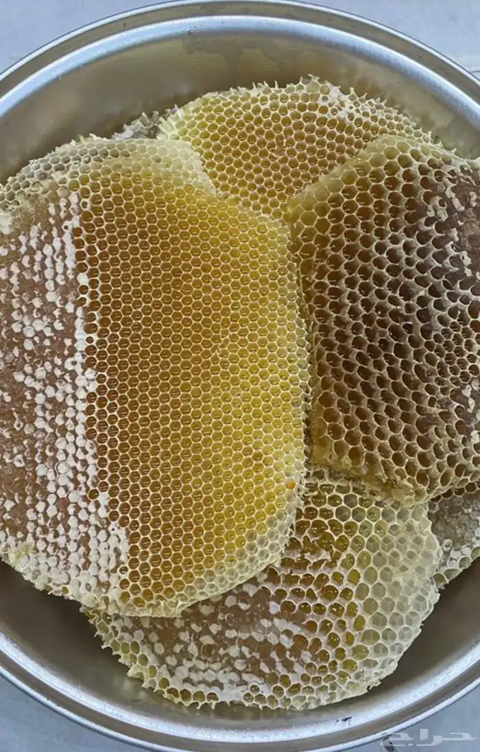 مناحل جبلية 6