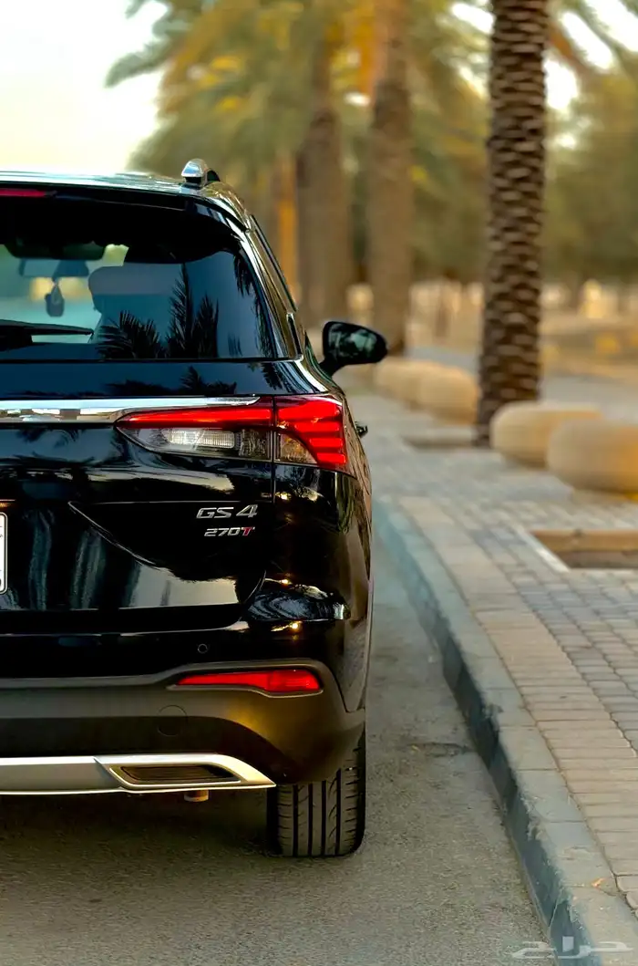 جاك GAC 2023 GS4 بحالة الوكالة 9