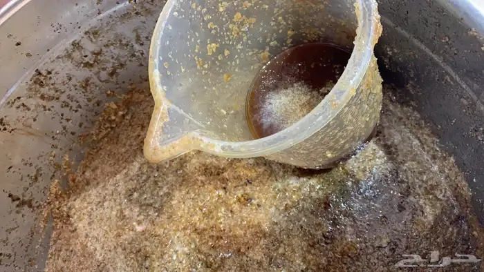 مناحل جبلية 4