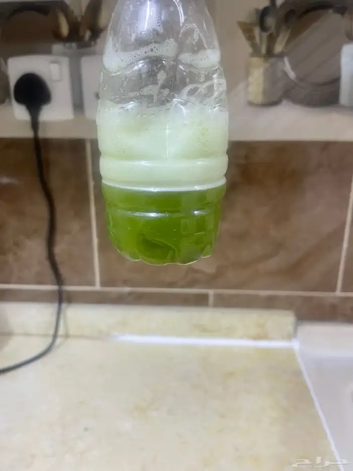 حناء مديني و سدر بلدي 4