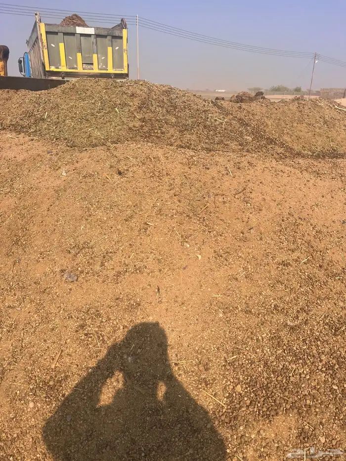 يتوفر سماد غنم نضيف جدا  توصيل لجميع مناطق المدينه 0