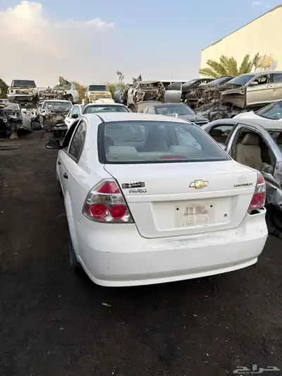 افيوا 2011 - تشليح المطلق في معارض الحوية 0