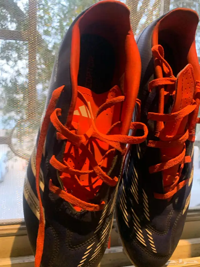 اديداس الأصلي 2