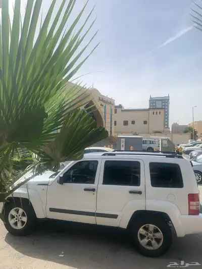 شروكي ليبارتي 0