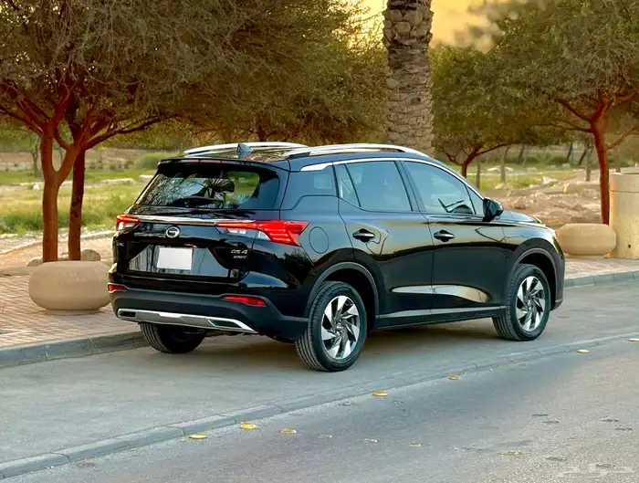 جاك GAC 2023 GS4 بحالة الوكالة 7