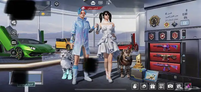 حساب ببجي شخصي للبيع 36