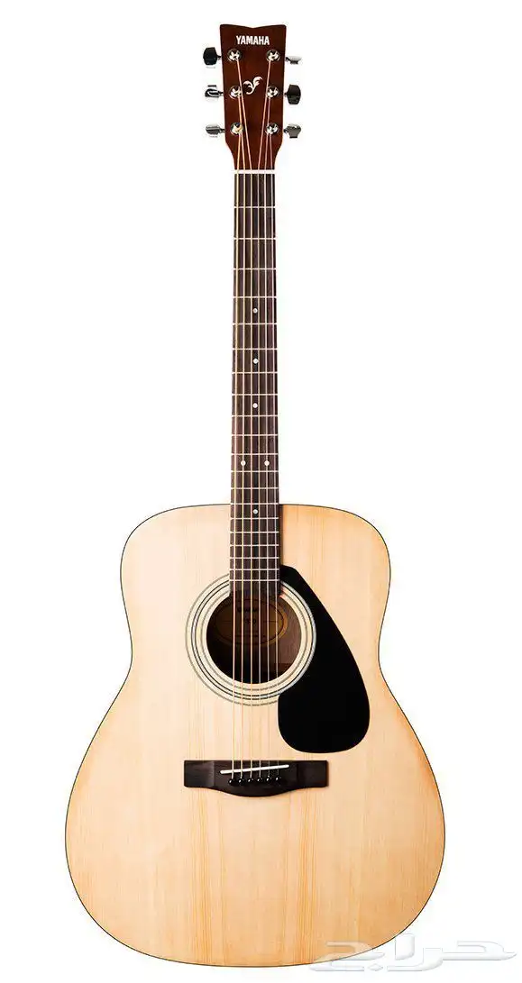 Yamaha F310 1
