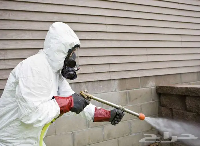 رش مبيدات صراصير فئران رش حشرات شركة رش مبيد بالرياض 2