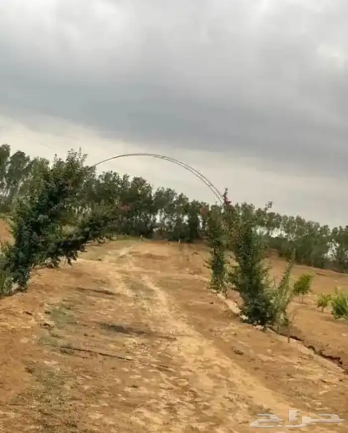 مزرعه للبيع جاهزه من جميع النواحي 5