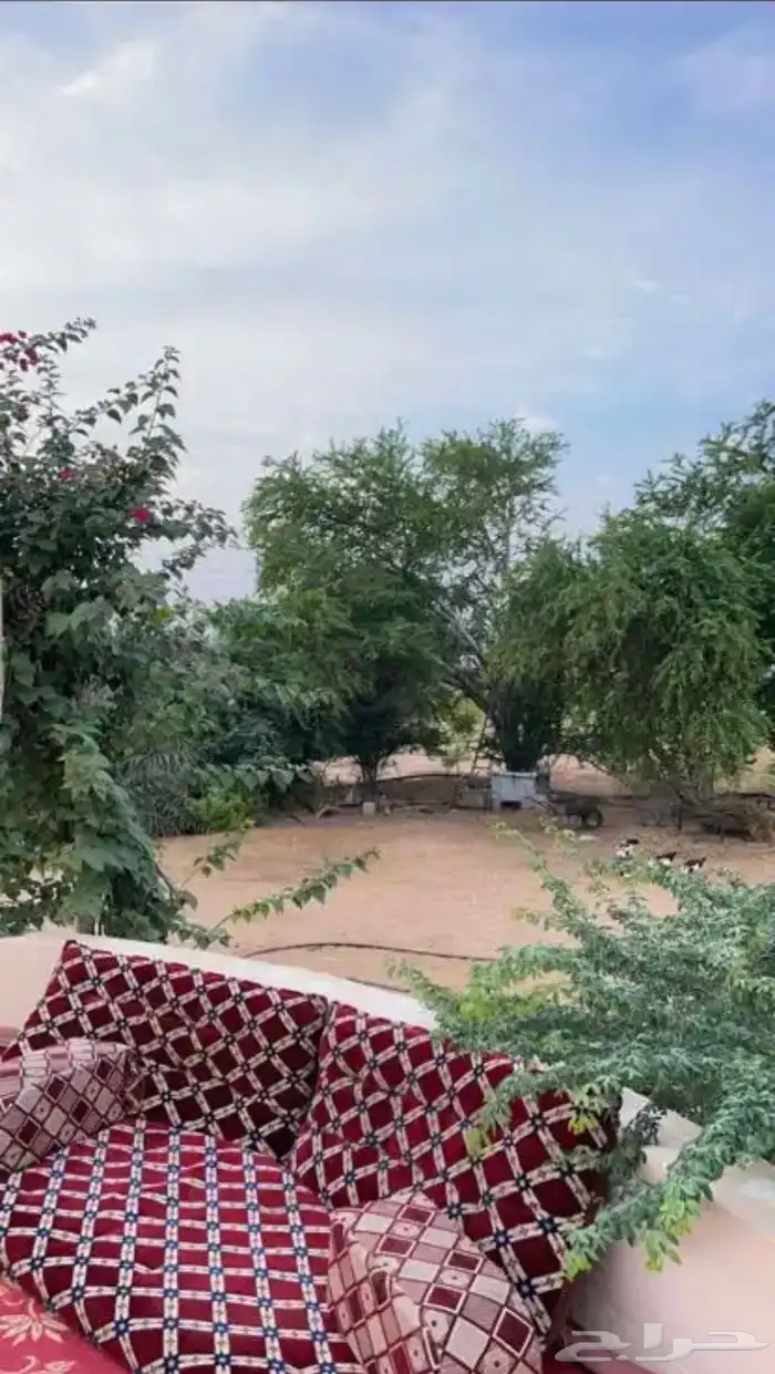 مزرعه للبيع جاهزه من جميع النواحي 8