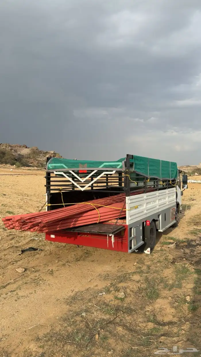 دينا اسيوزو شبك 1