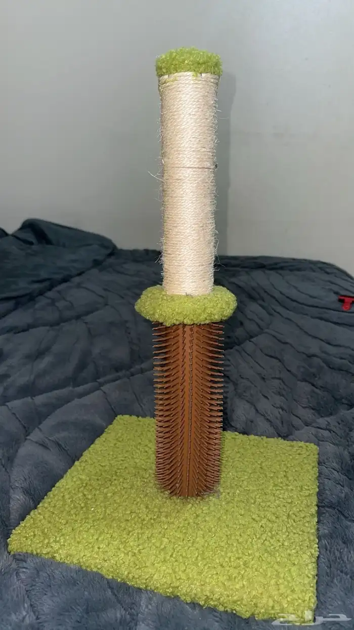 مستلزمات قطط 1