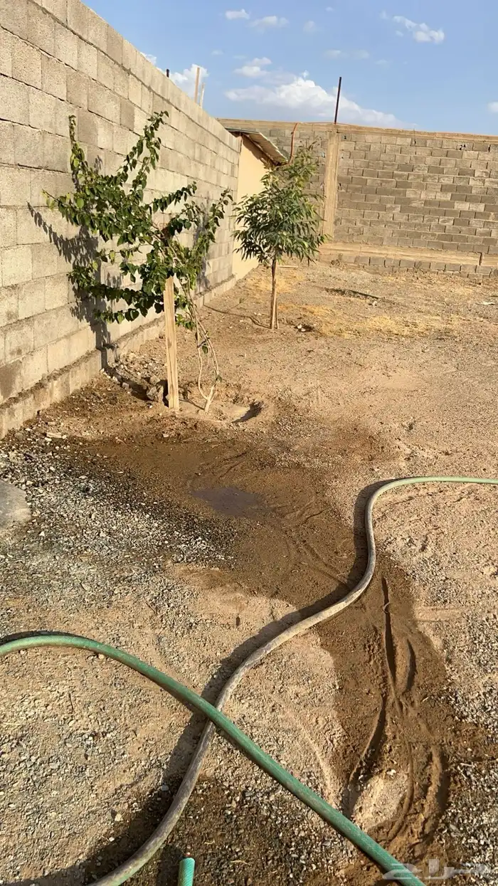 للبيع استراحه الشامنيه 3