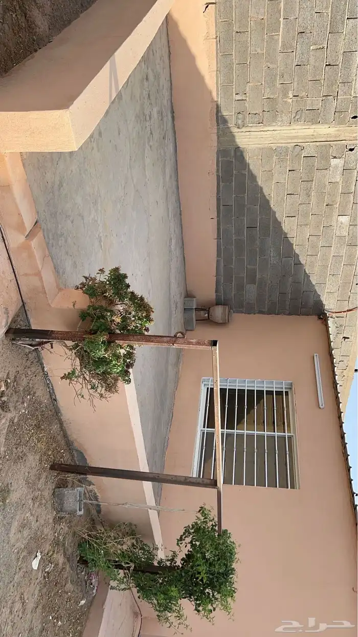 للبيع استراحه الشامنيه 14