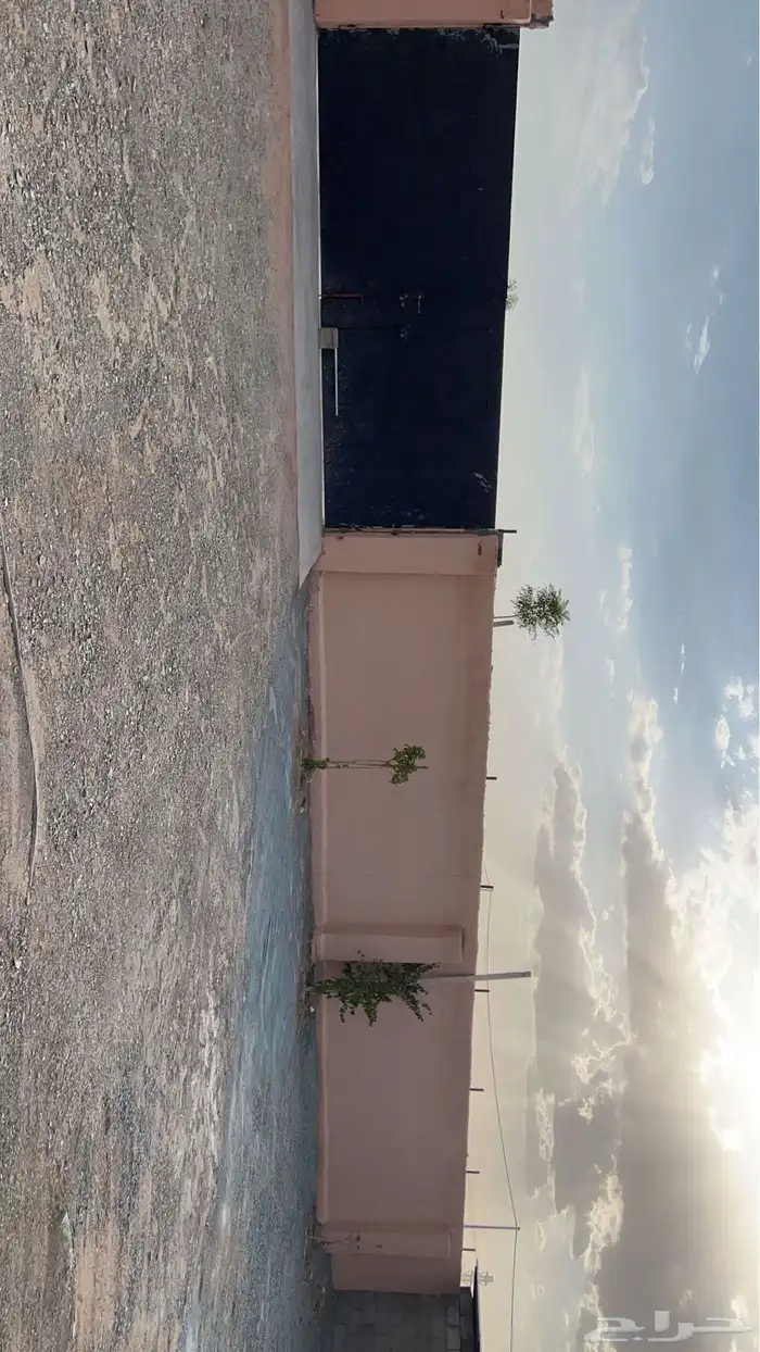 للبيع استراحه الشامنيه 9
