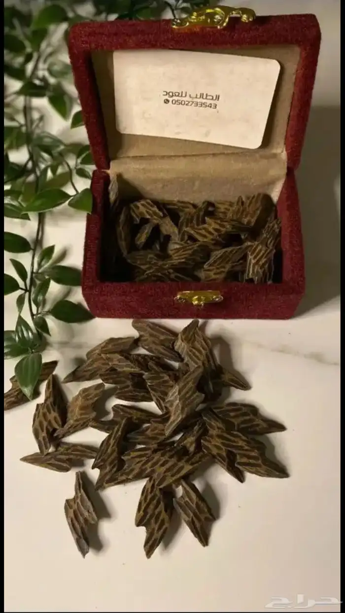 بخور تايقر كمبودي 4 اوقيات عرض 195 ريال 0