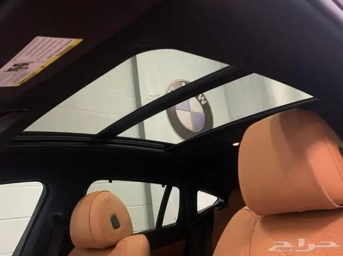 بي ام دبليو اكس BMW X6 XDrive40i Premium PKG موديل 2023 8