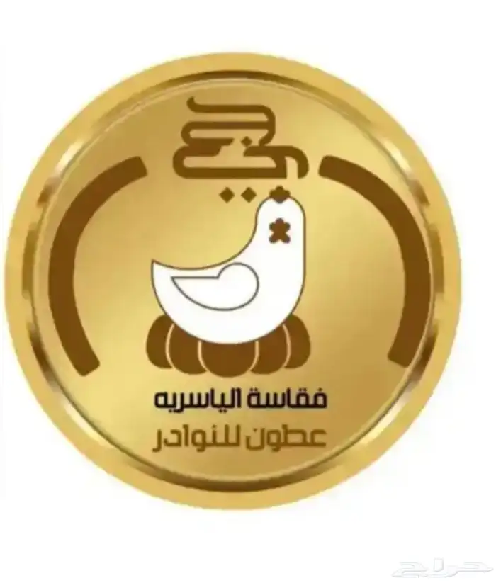 فقاسات الياسريه نضام تبريد 4