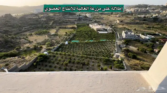 شقق فاخر للبيع في مخطط المحمديه ببلجرشي. 0