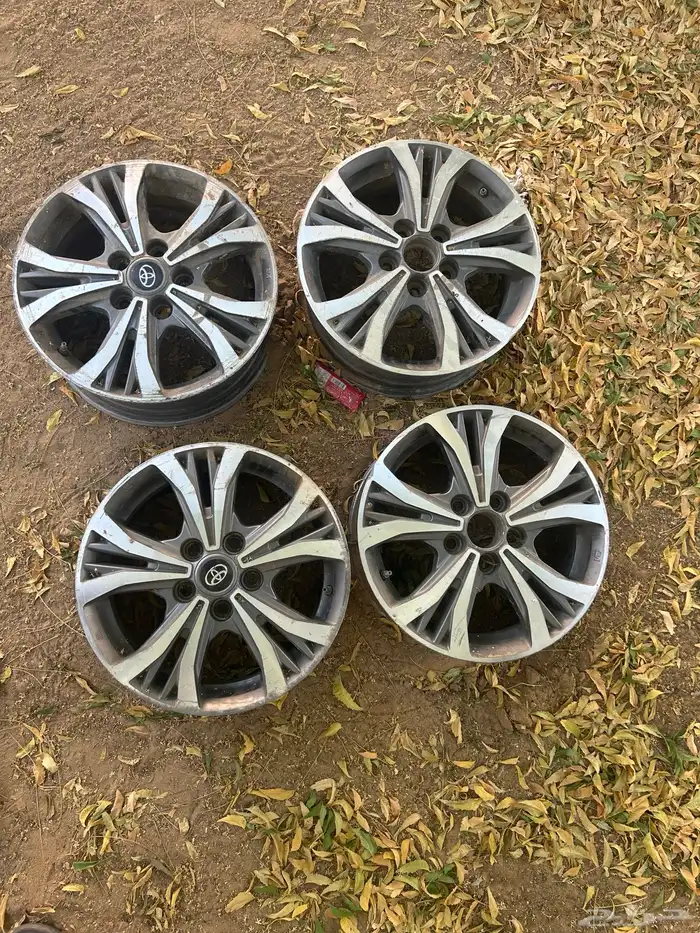 جنوط ونيت 2019 وكالة 0