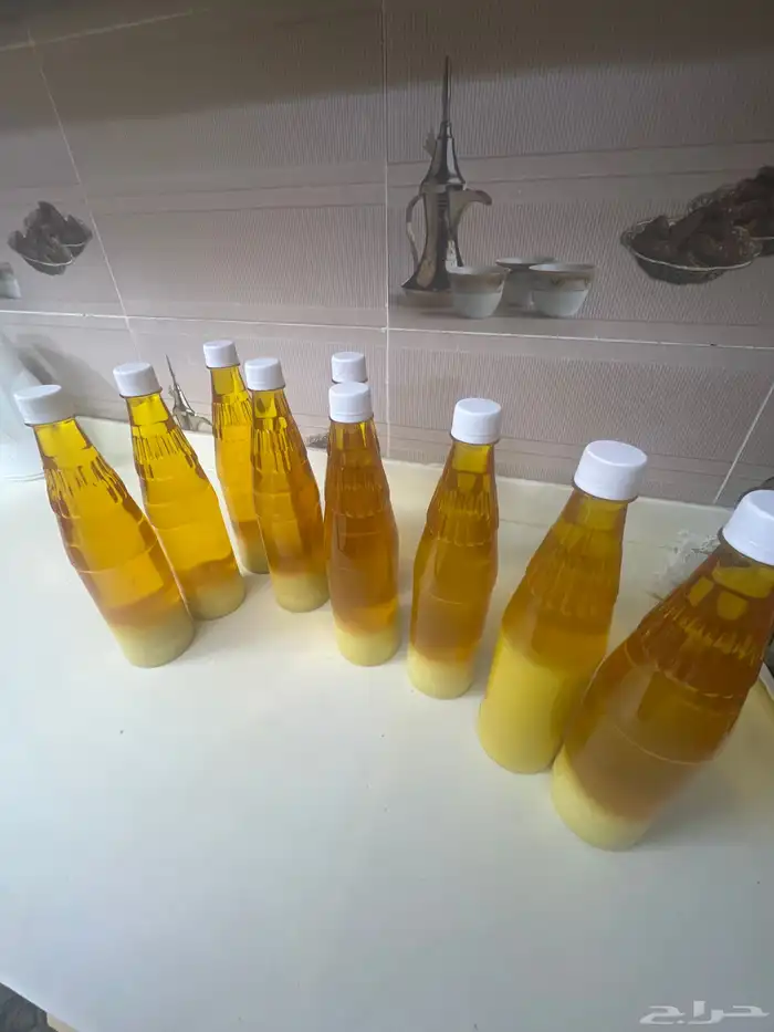 سمن بقري مشروط 9