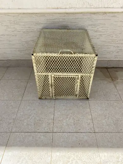 شبك جلب دجاج 0