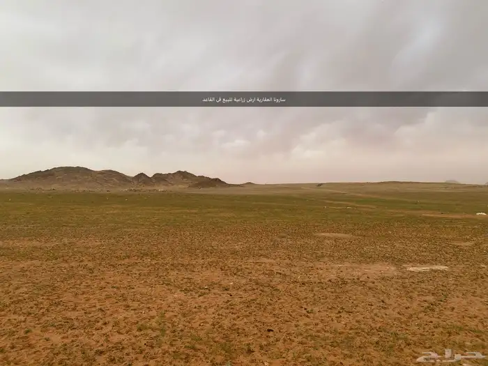 أراضي زراعية بالخطه القاعد وموقق الكهفةو الحسو حائل للبيع 0