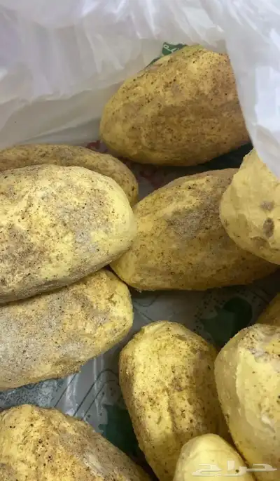 زبده بقر بلدي مضمون 4