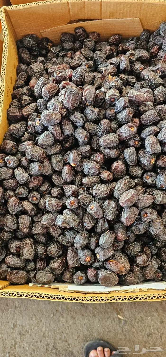 تمر عجوة المدينة 2