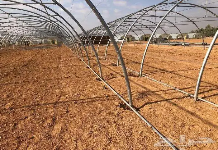 بيوت محمية للإيجار 6