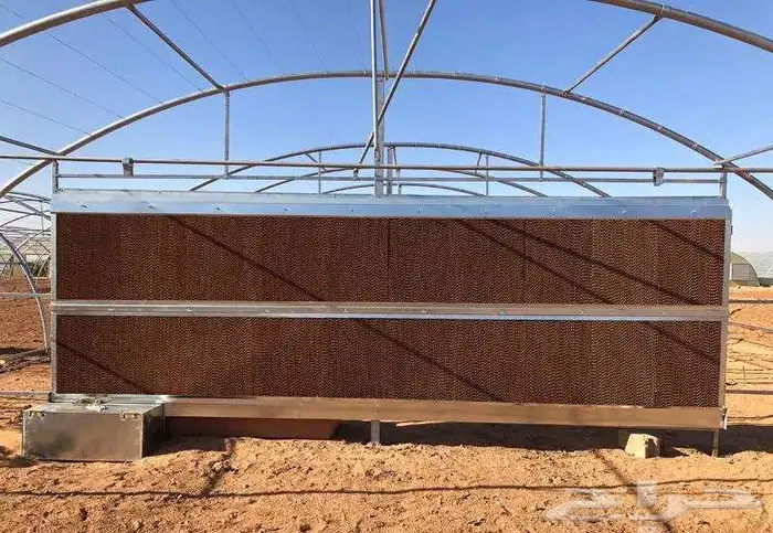 بيوت محمية للإيجار 8