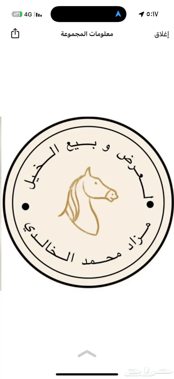 مزاد خيل بيع وشرا الخيل 0