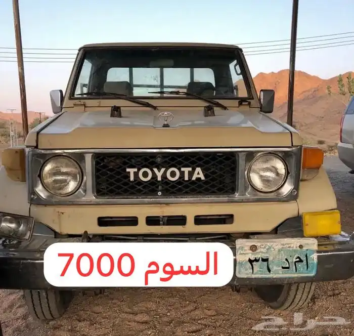 لوحة مميزة للبيع 0