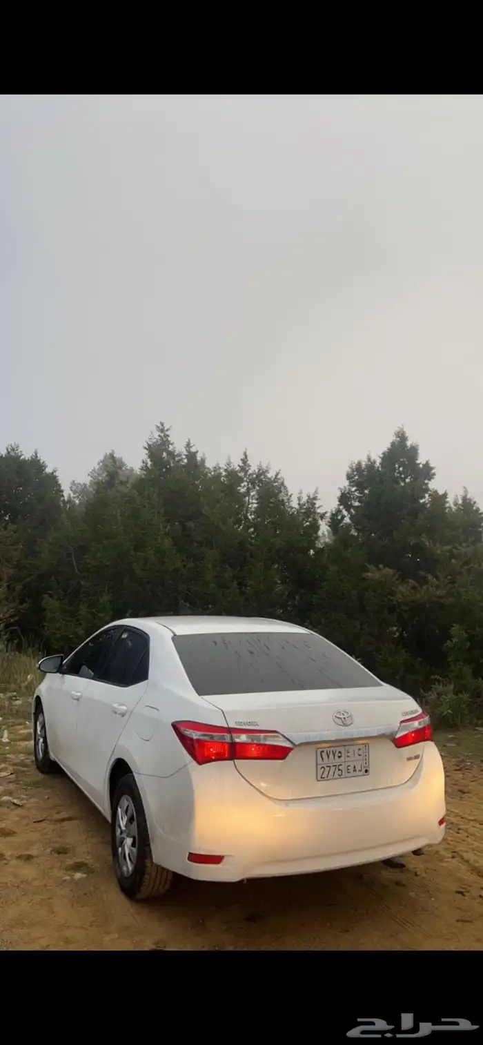 كورلا 2014 8