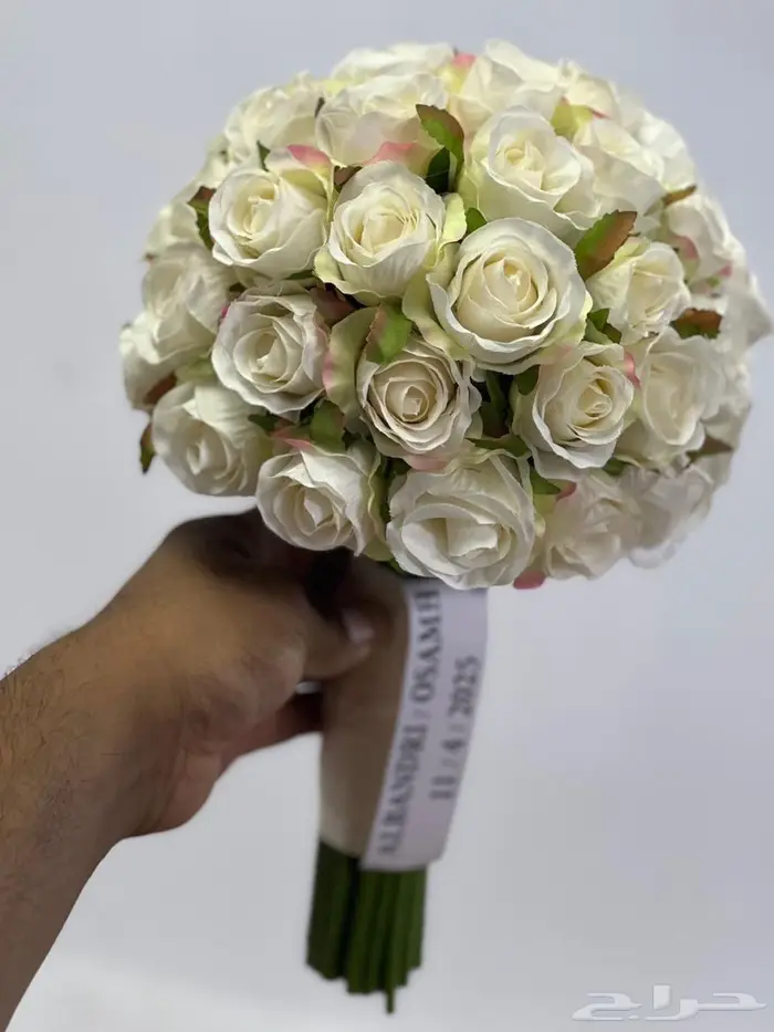عربيات للشبكه وااتوزيعات 3