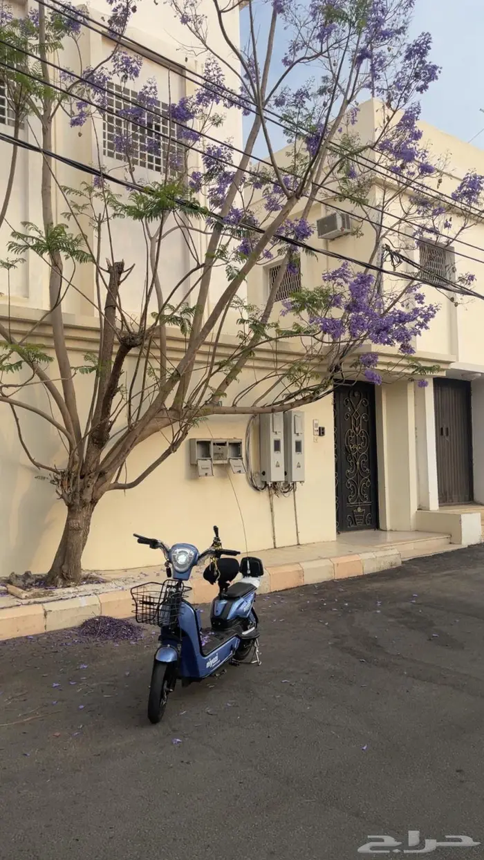 دباب كهربائي نضيف 2