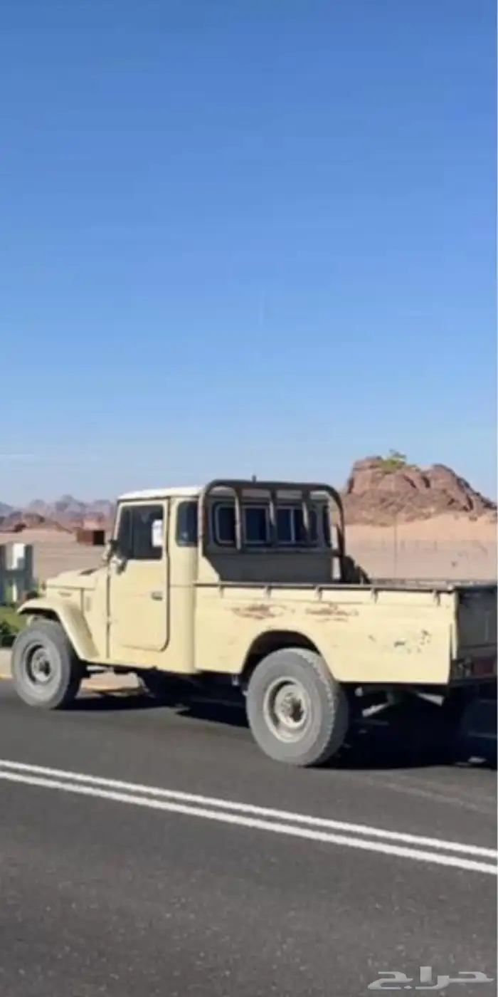 جيب شاص مديل 81 1