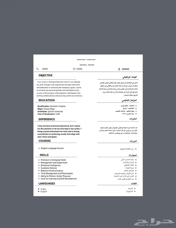 تصميم سيرة ذاتية بشكل احترافي بسعر مناسب 2