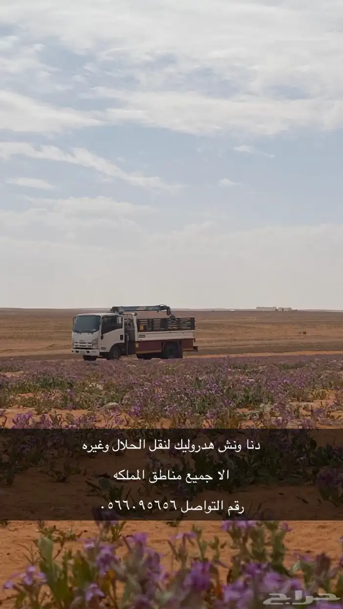 دنا ونش لنقل الحلال وغيره توصيل جميع انحاء المملكه 0