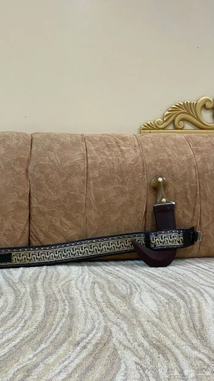 جنيبه كفو للبيع 9