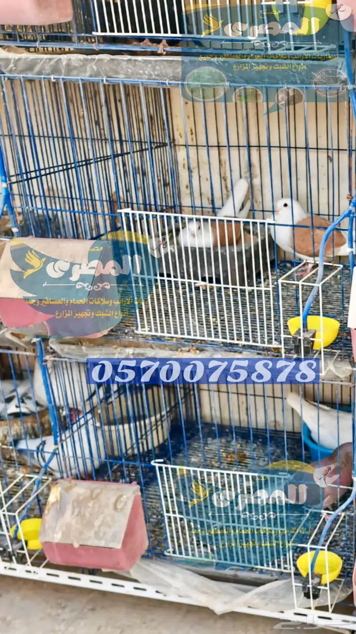 سلاكات حمام حديد و محاكر 1