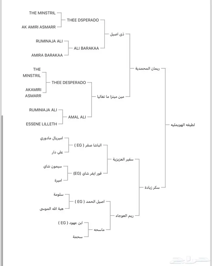 فرس واهو فاخره جمال 4