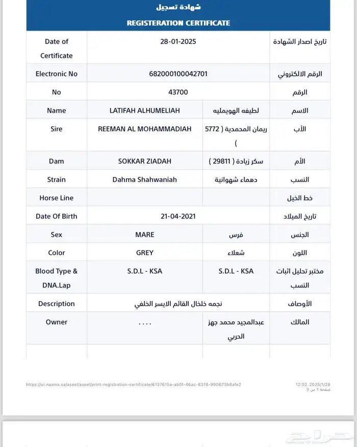 فرس واهو فاخره جمال 5