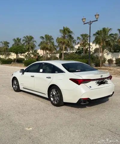 افالون 2021 AVALON index