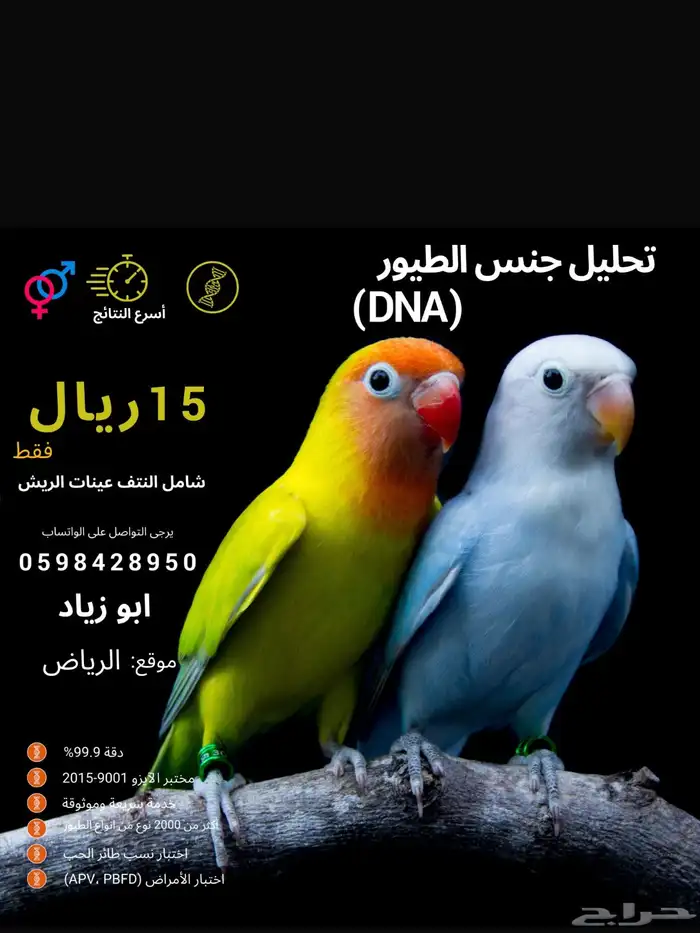 تحليل جنس جميع الطيور عرض 15 شامل نتف العينات 1