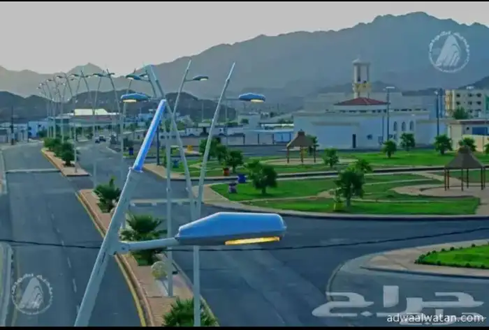 شواق ضباء 0