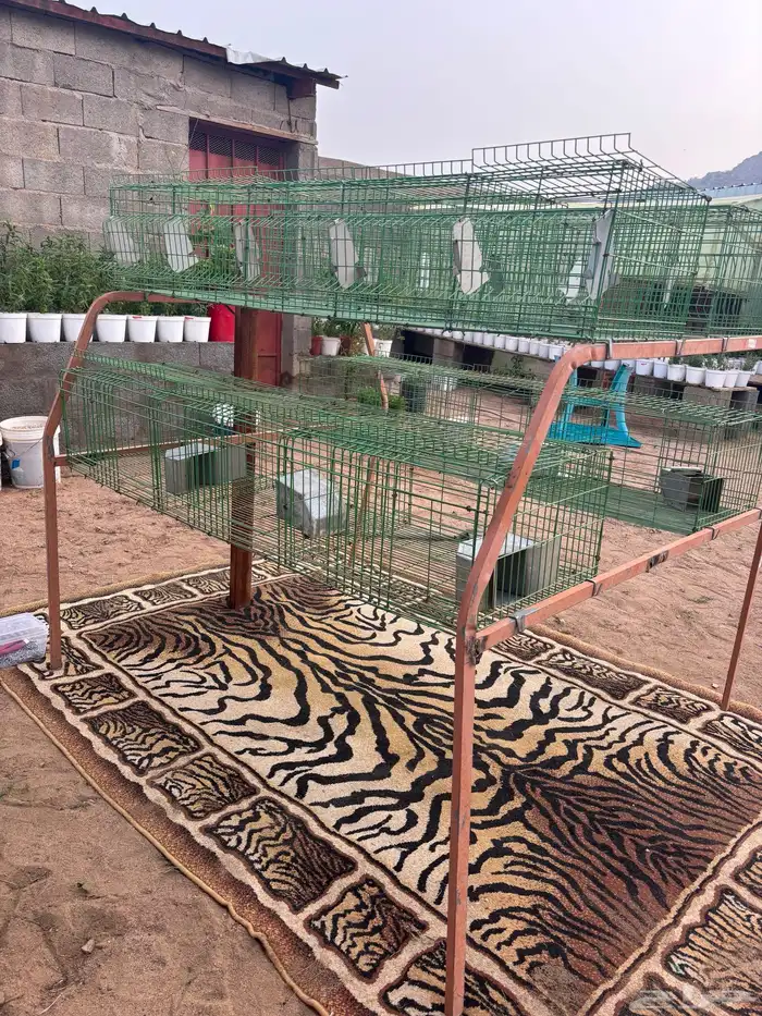 بطارية أرانب 1