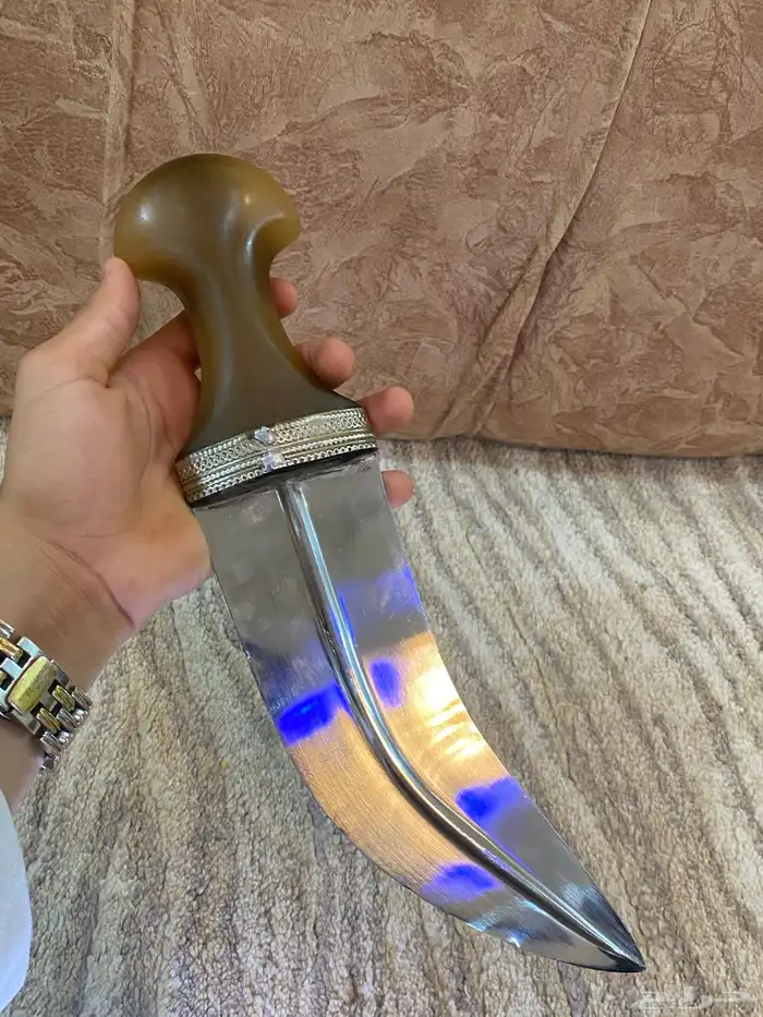 جنيبه كفو للبيع 7