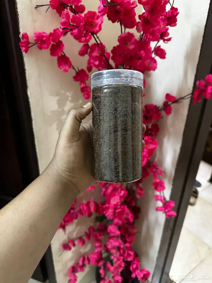 دلكة سودانية -اسكربات-بدرة الشيبييي 3