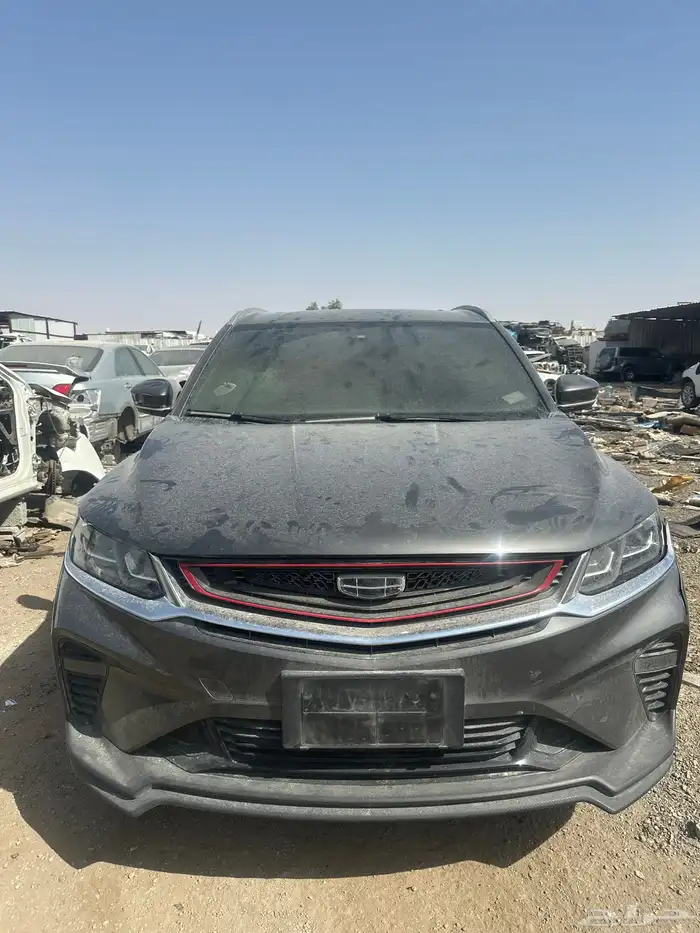 جيلي كولراي 0